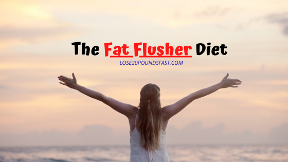 the fat flusher diet review